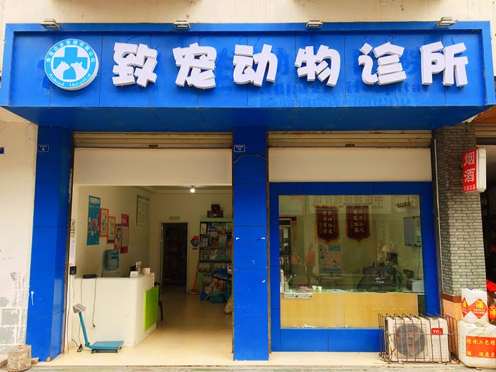 都江堰宠物医院哪家好 都江堰宠物医院哪家好