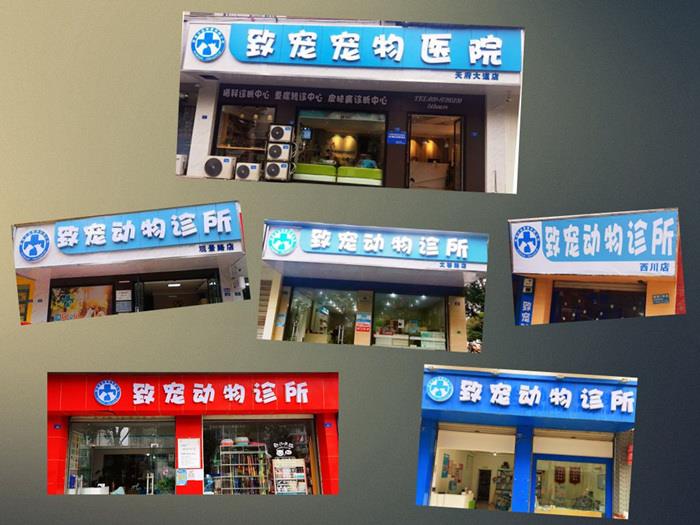 都江堰公立宠物医院