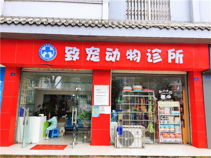 都江堰宠物医院推荐 都江堰宠物医院推荐